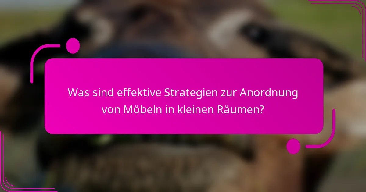 Was sind effektive Strategien zur Anordnung von Möbeln in kleinen Räumen?
